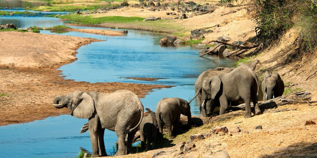 Ruaha National Park in Tanzania