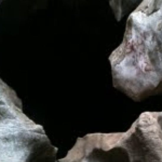 Image thumbnail